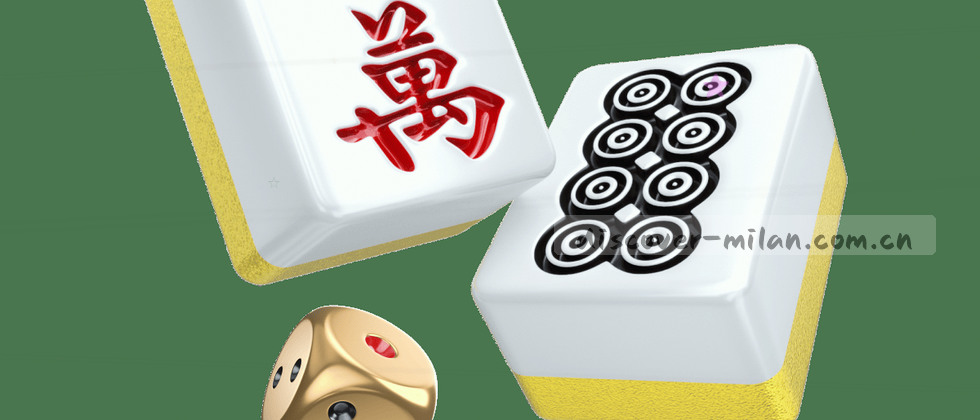 隐私政策与用户权益声明